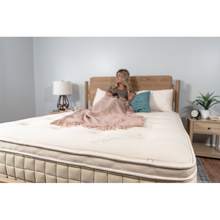 Naturepedic twin mattress on sale sale